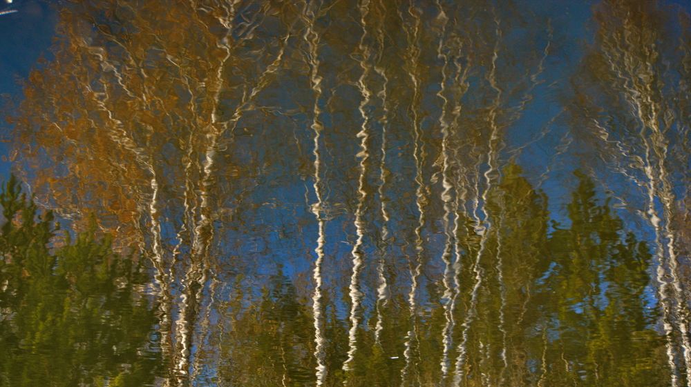 Photograph by Шаромов Иван