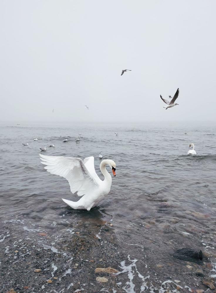 Photograph by Ольга