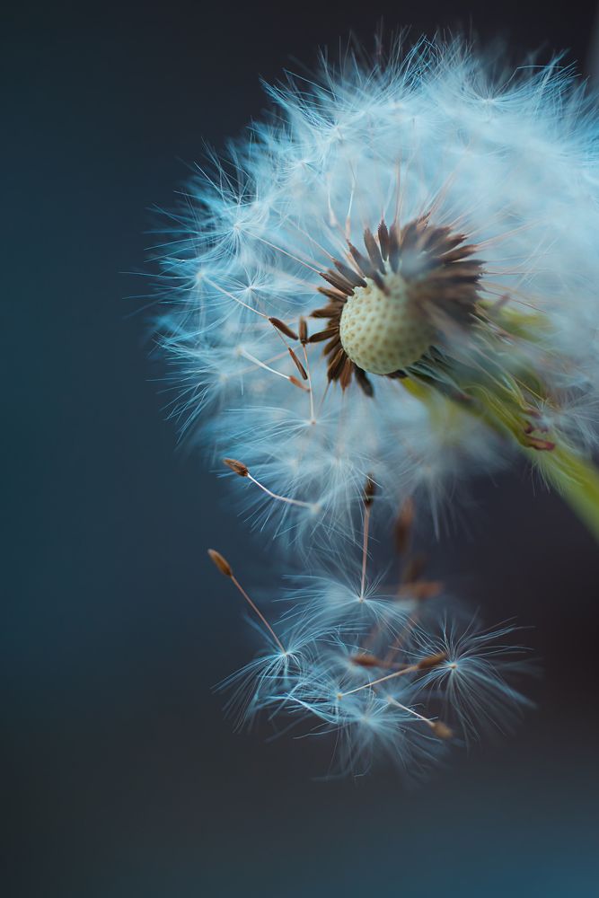 Photograph by Ксения Базарова