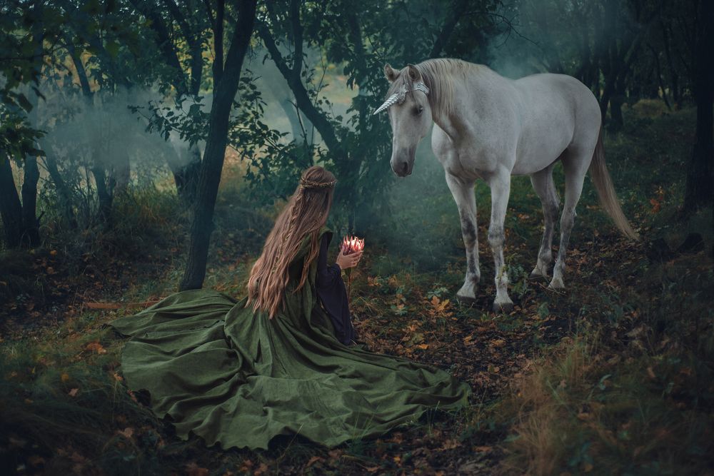 Photograph by Zi Tien