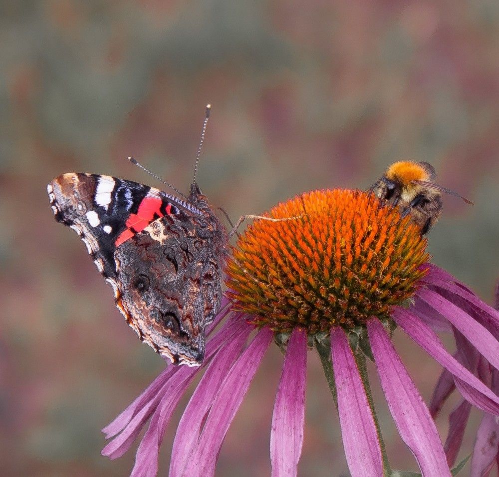 Photograph by Валентина Тагильцева