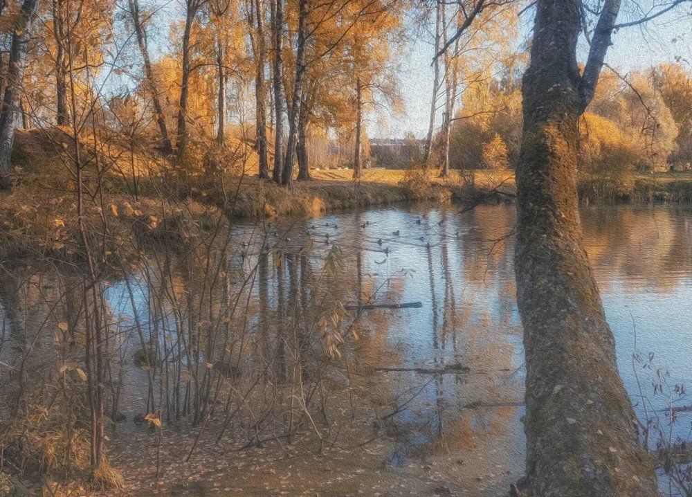 Photograph by Елена Сологубова