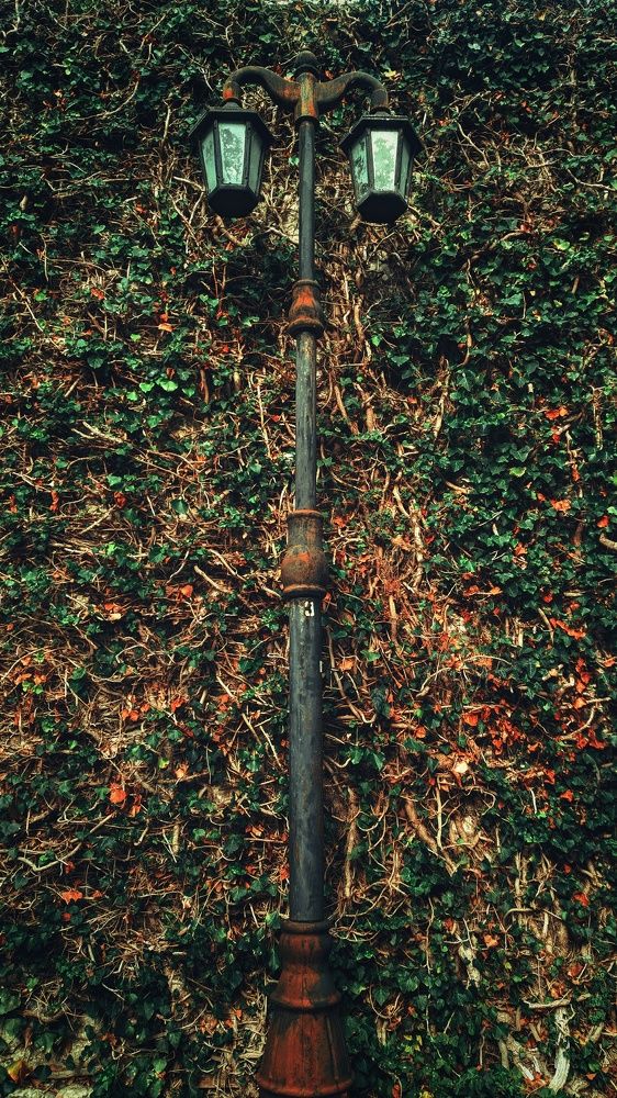 Photograph by Ole moto