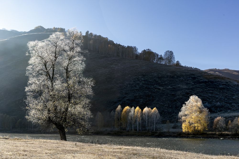 Photograph by Дериглазова Марина Владимировна