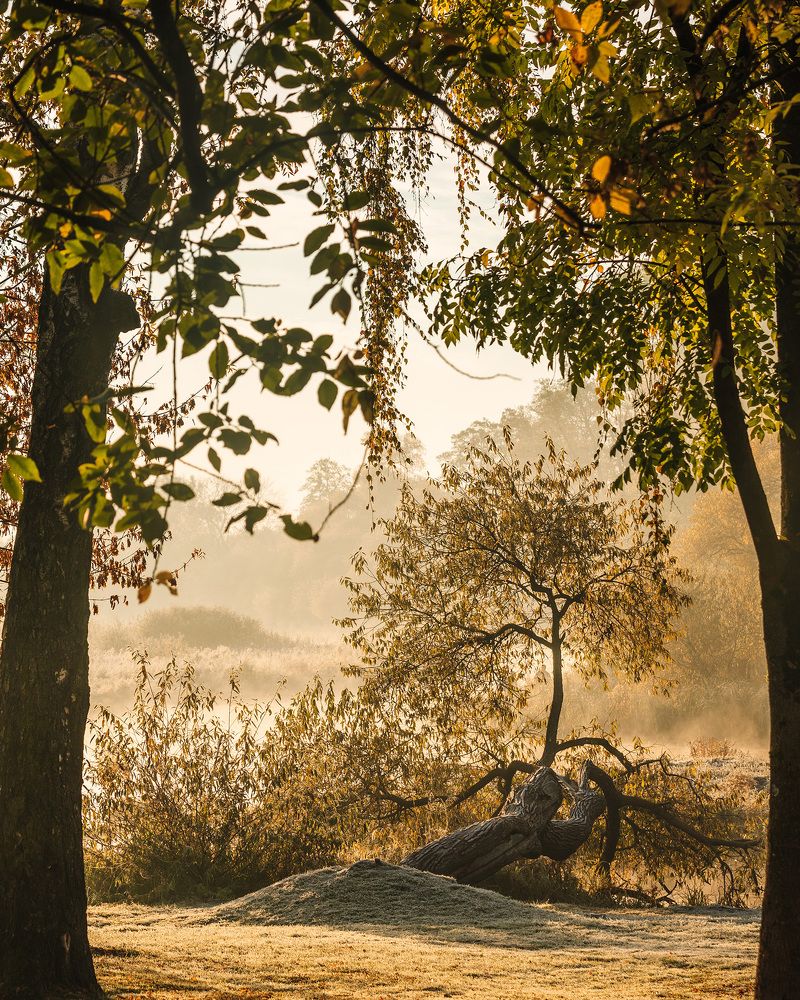 Photograph by SIARHEI RABCHONAK