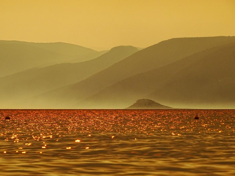 Фотография автора Remus Lucescu