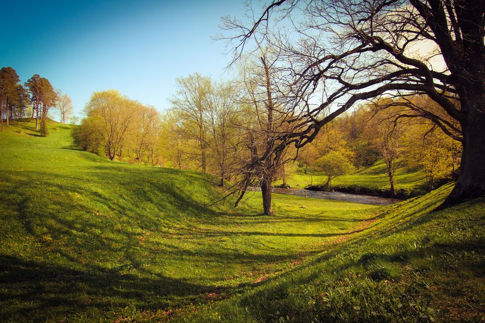 Волшебная осень