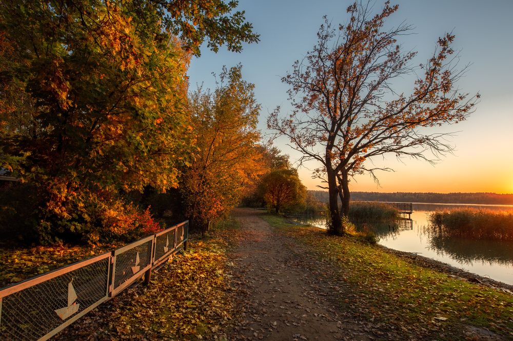 Золотая осень