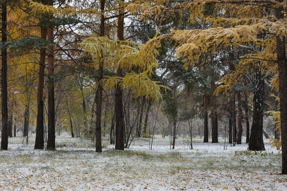 Photograph by Владимир Ануфриенко