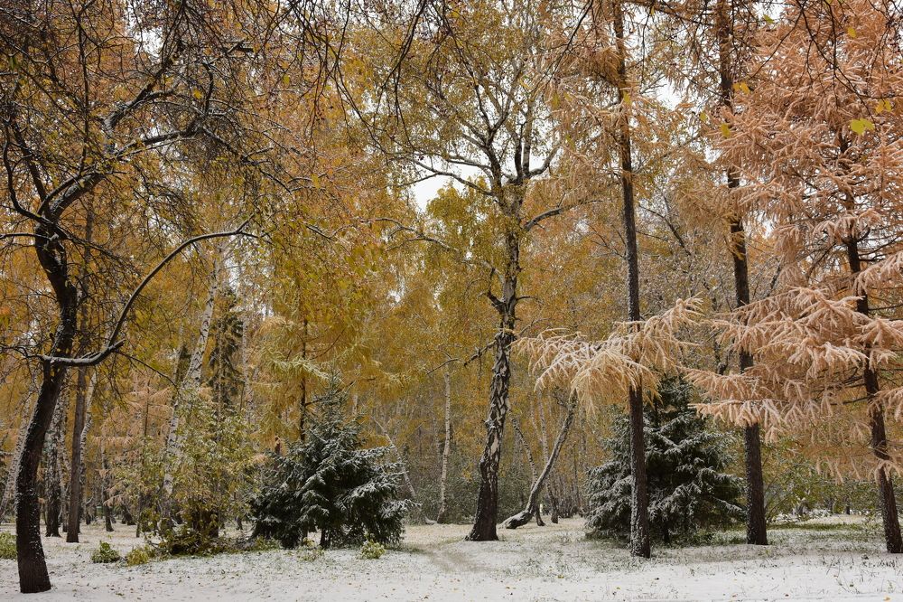 Photograph by Владимир Ануфриенко