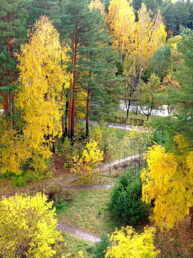 Photograph by НИНА АВЕРЬЯНОВА