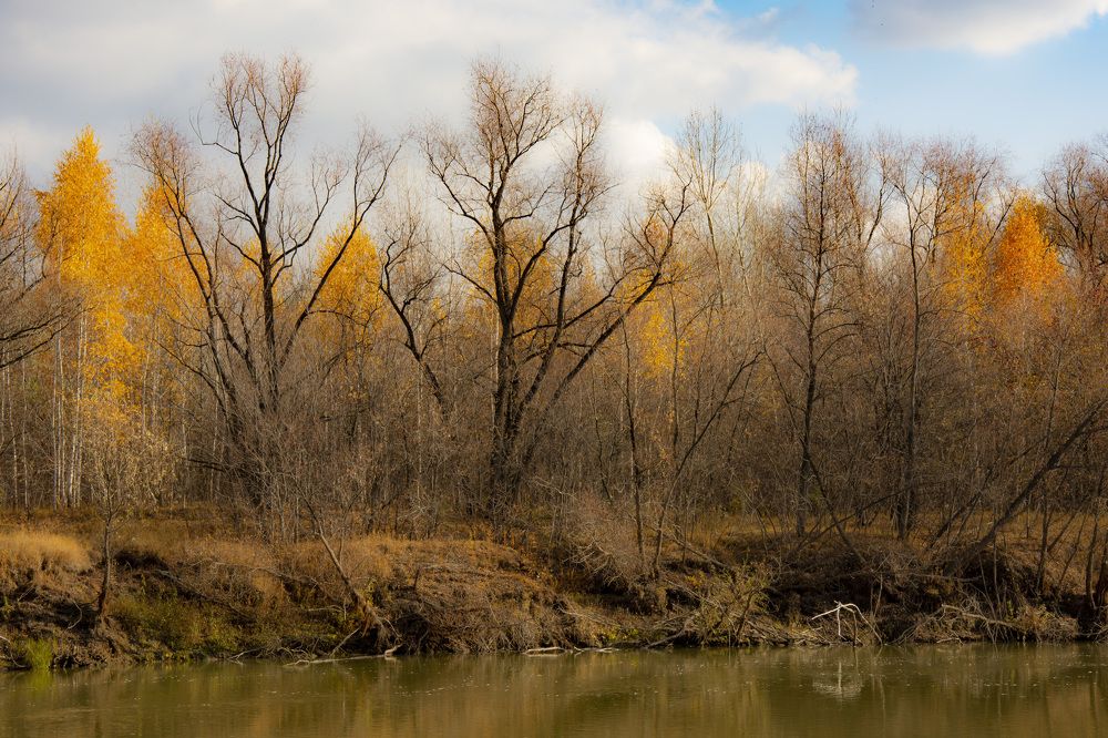 Photograph by Владимир Ануфриенко
