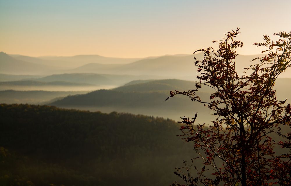 Photograph by Anton Gaev