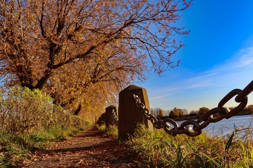 Photograph by Ализа TS