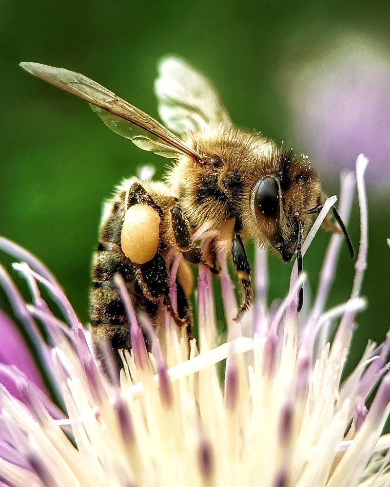 Фотография автора Марина