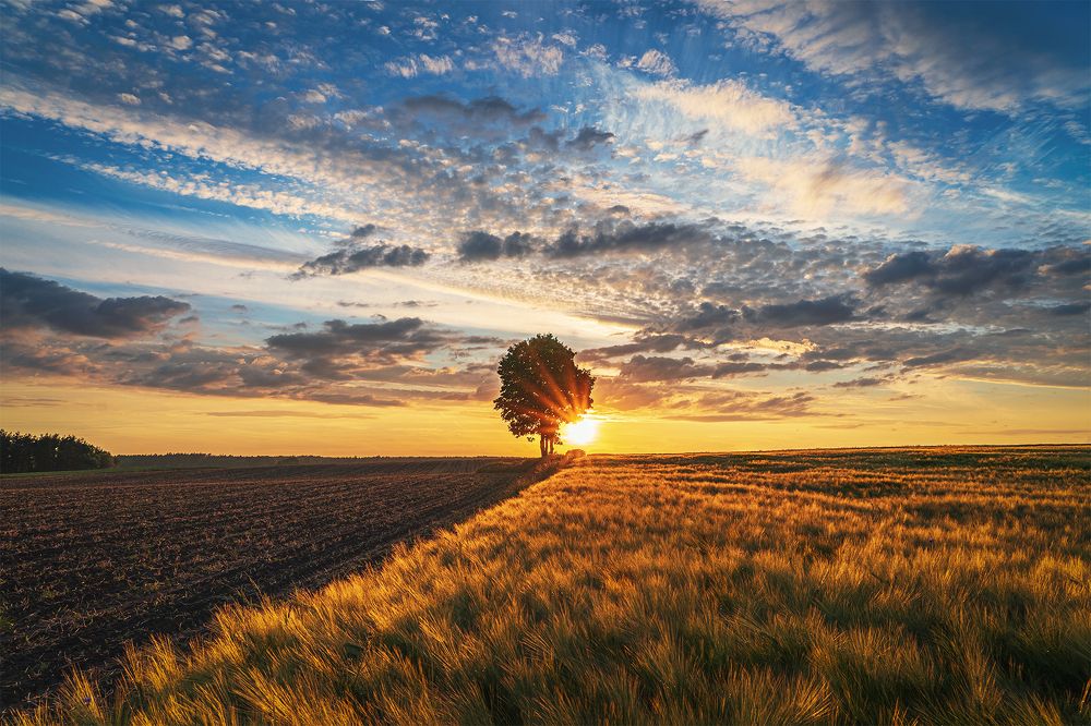 Photograph by Вячеслав Карабаш