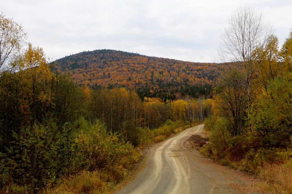 Photograph by Оксана Макрушина