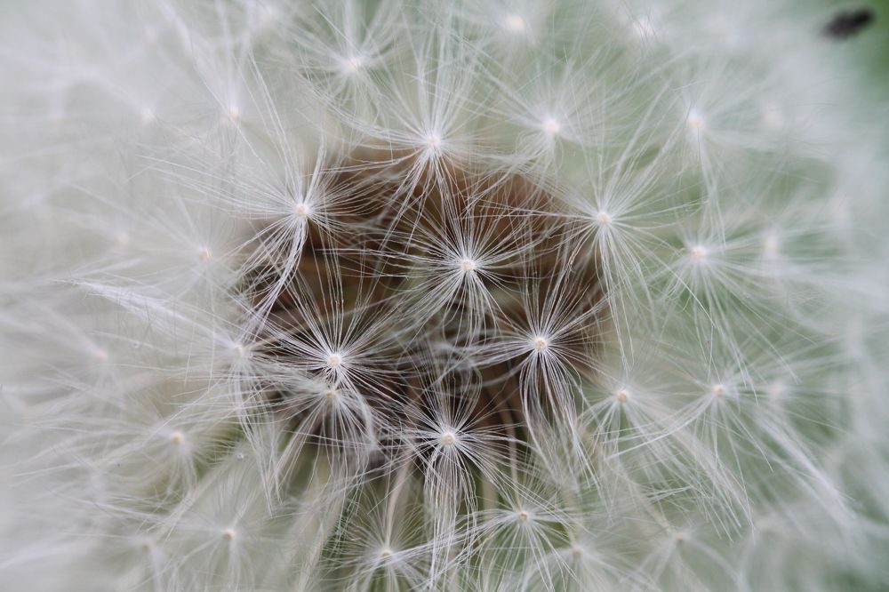 Фотография автора Natalja Bindere