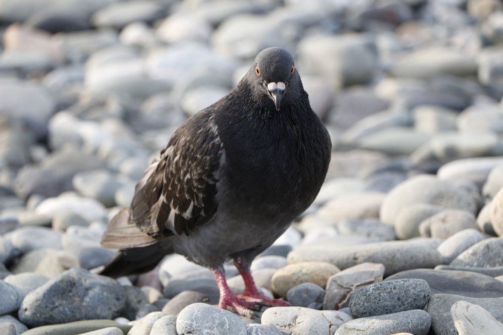 Photograph by Оксана Макрушина