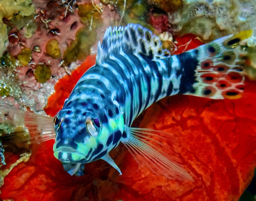 Photograph by Kateryna Terets