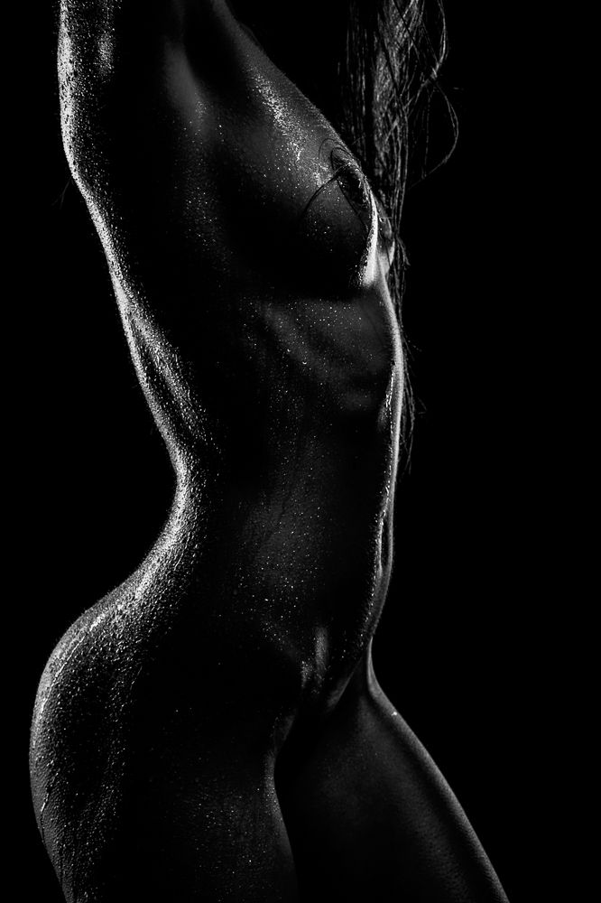 Wet Perfection