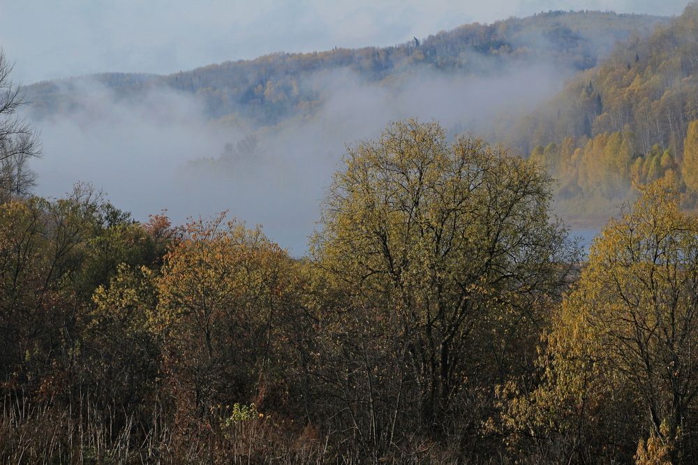 Уходящий туман