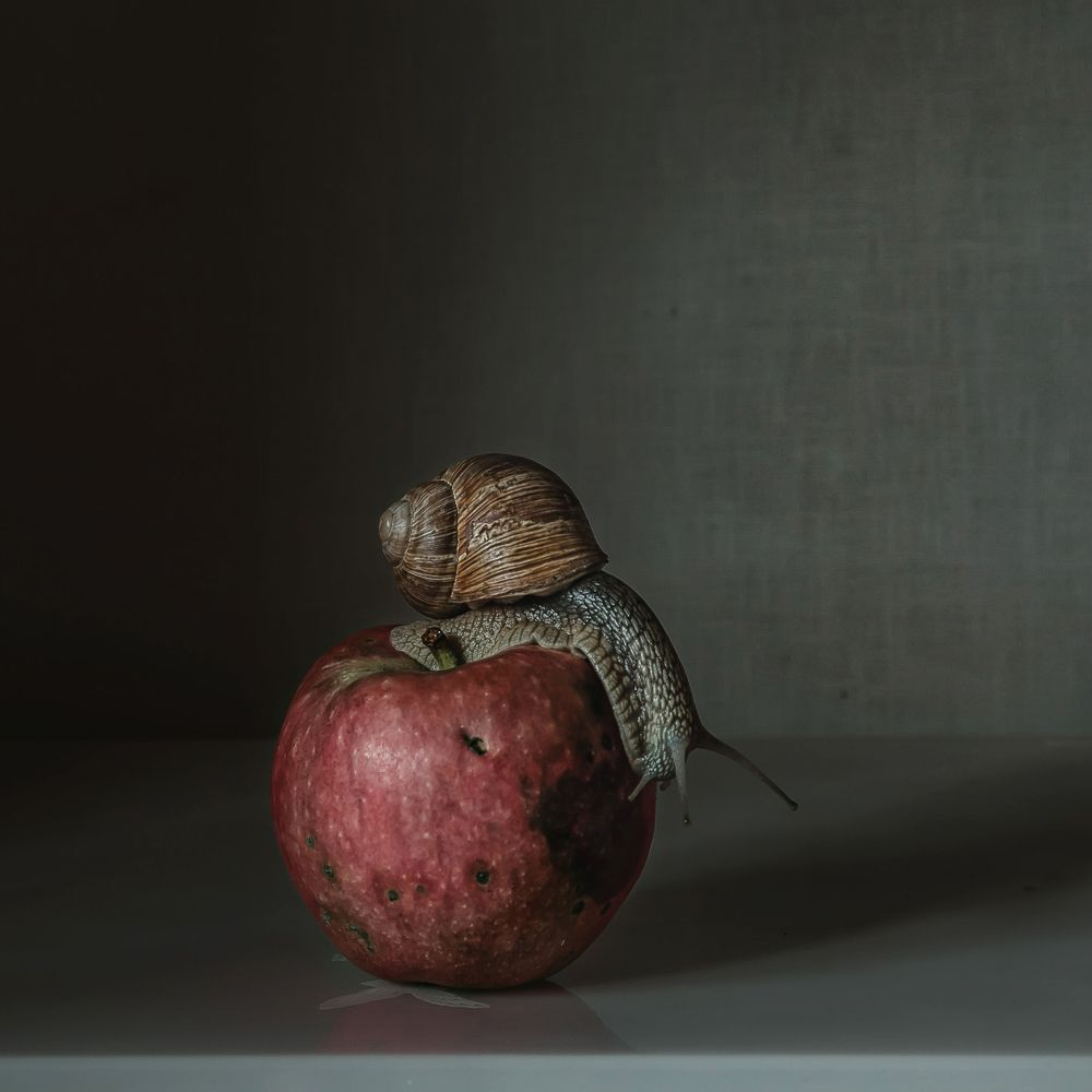 Photograph by Анна Петина