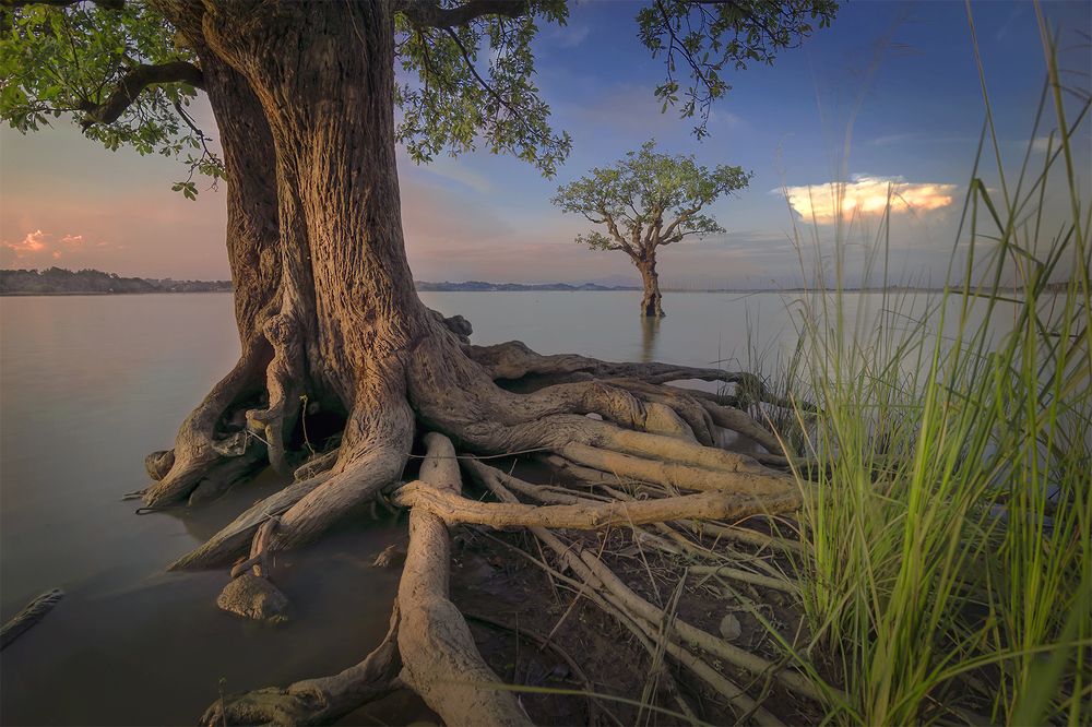 Photograph by Sohan Sharma