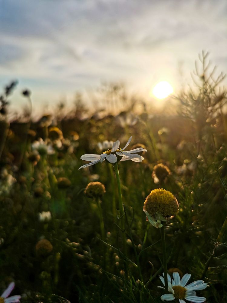 Photograph by Евгений Гусаков