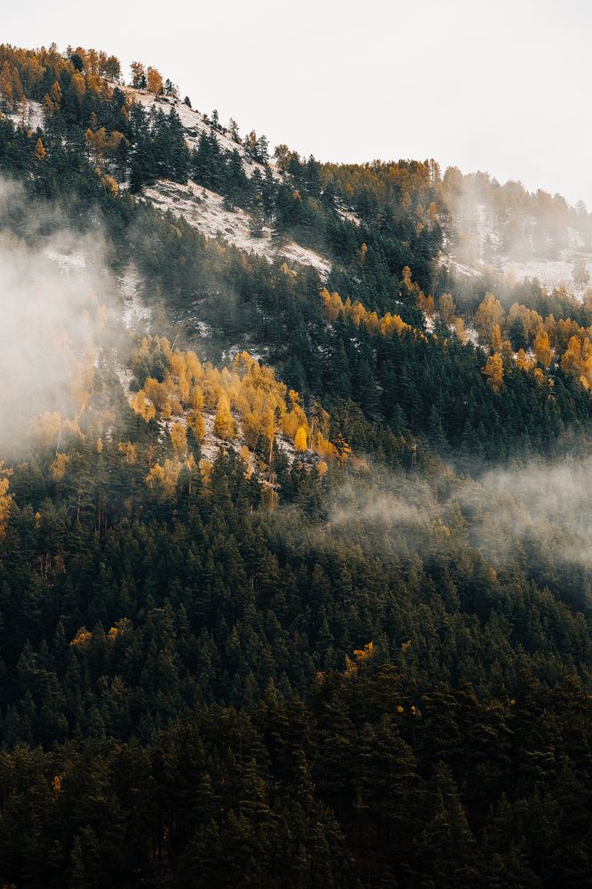 Photograph by Дмитрий Сергеев