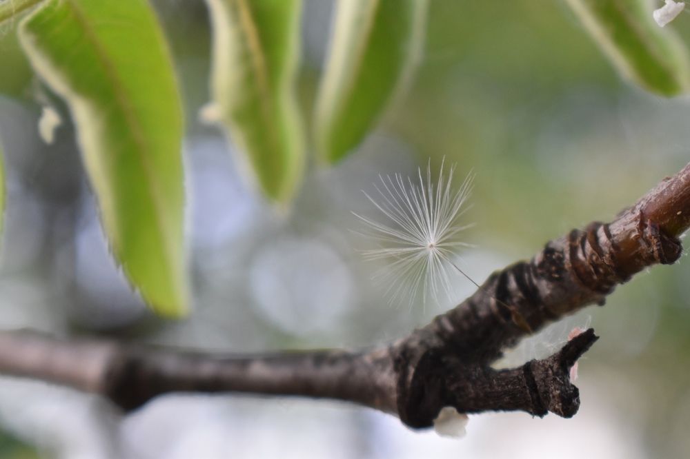 Photograph by Сергей Головин