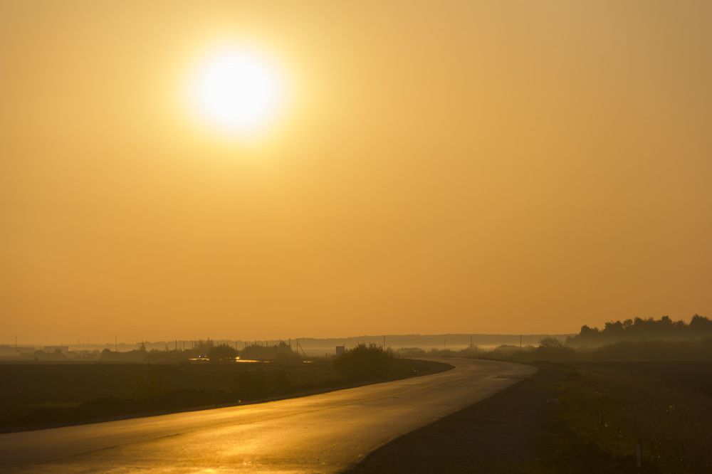 Photograph by Anna Gapanovich