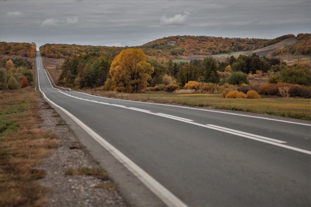Фотография автора Юрий