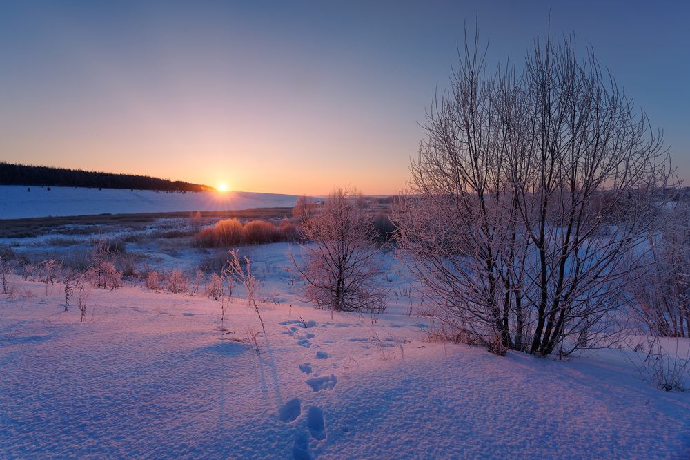 Photograph by Григорий Шалик