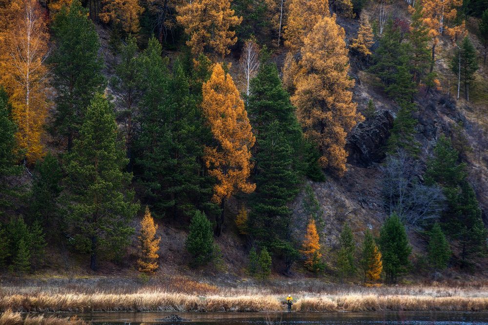 Photograph by Рашид Усманов