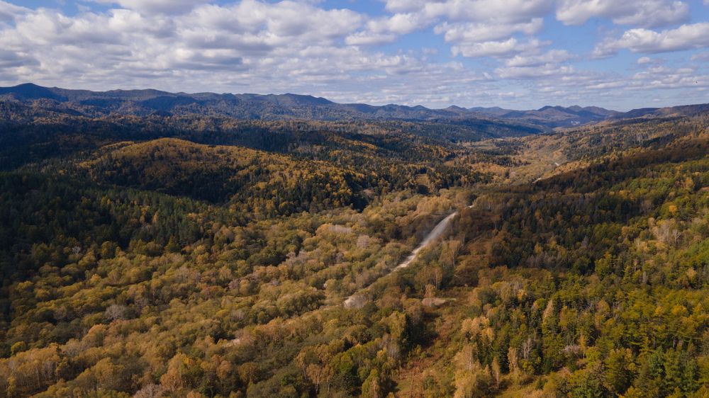 Photograph by Андрей Щербинин