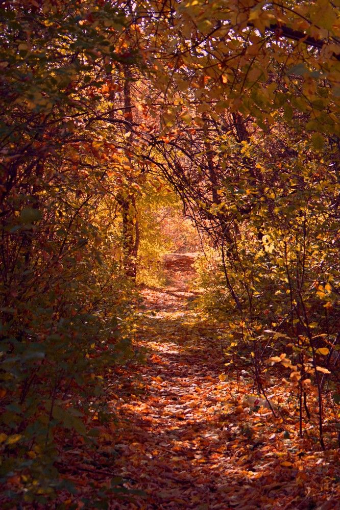 Photograph by Maks315519