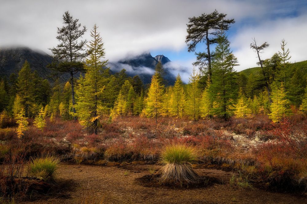 Photograph by Сергей Межин