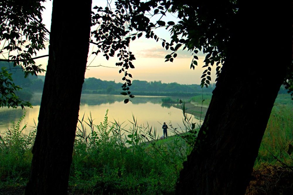 Photograph by Maks315519