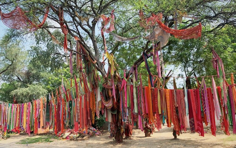 Photograph by Bimal Solanki