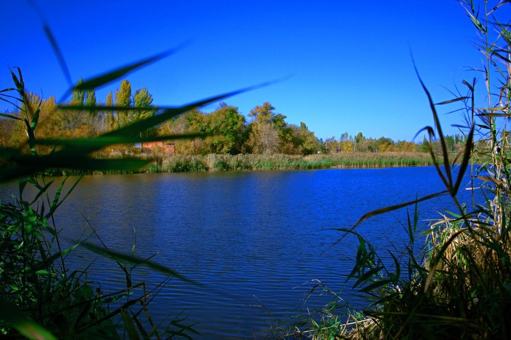 Photograph by Maks315519