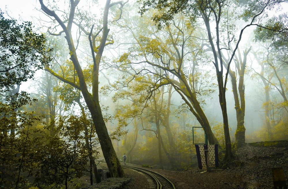 Photograph by Shubham Singh