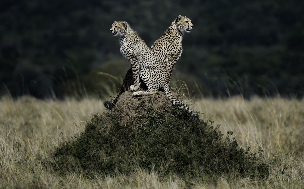 Photograph by Vignesh Ramachandran