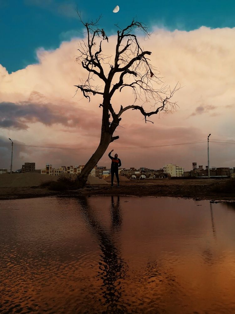 Photograph by Mohammed Halawa