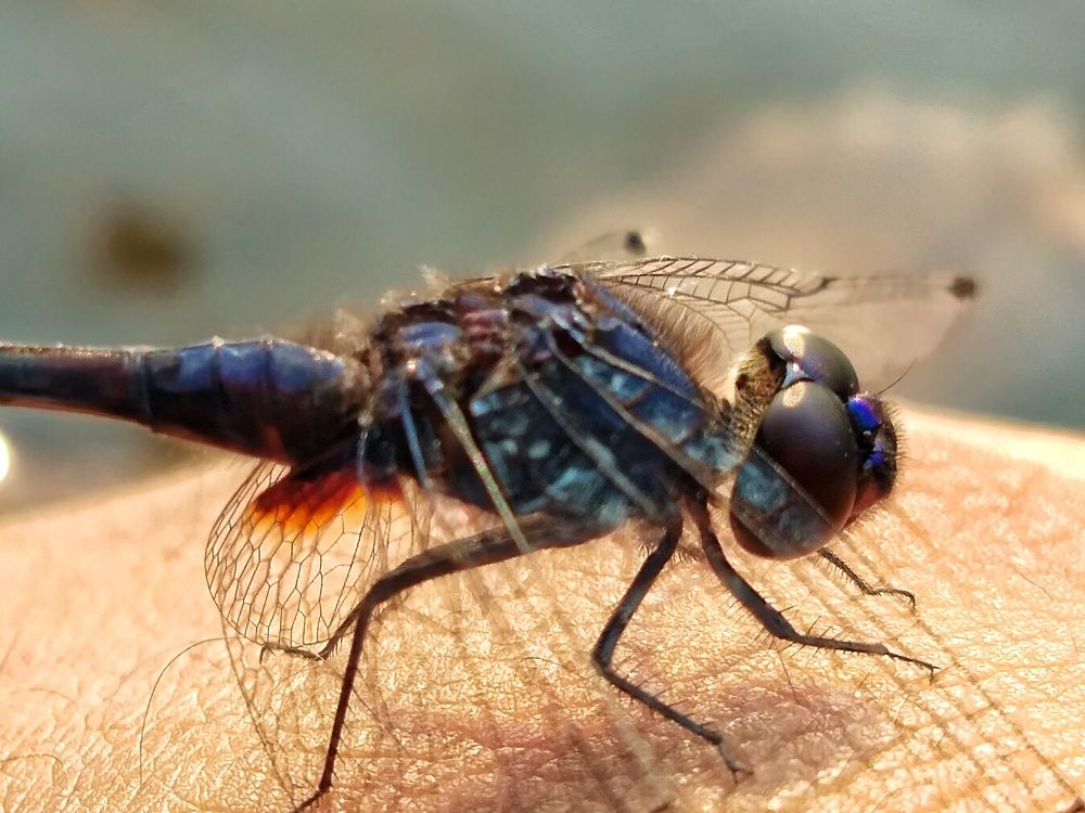 Photograph by Shubham Singh