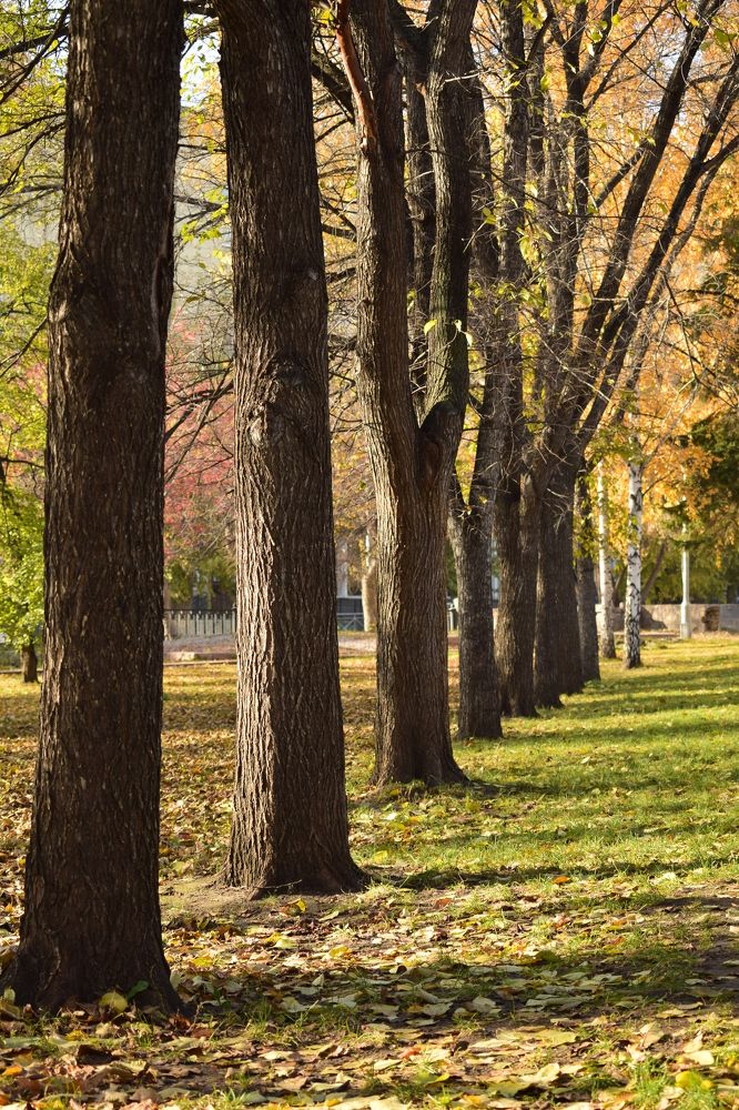 Photograph by Наталья Еременко