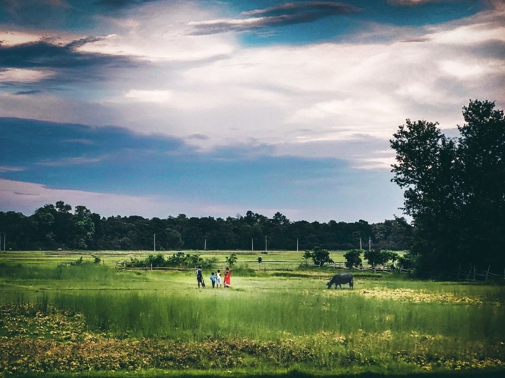 Photograph by GULSHAN JHA