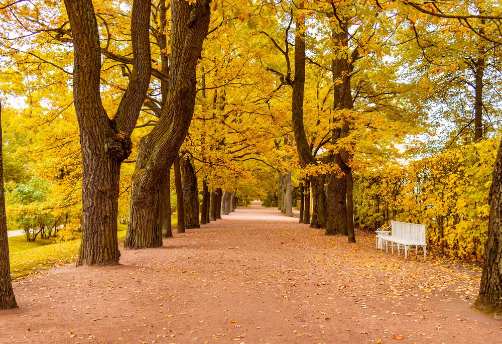 Photograph by Evgeniia Iakimenko