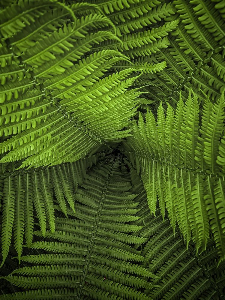 Photograph by Светлана Моисеева