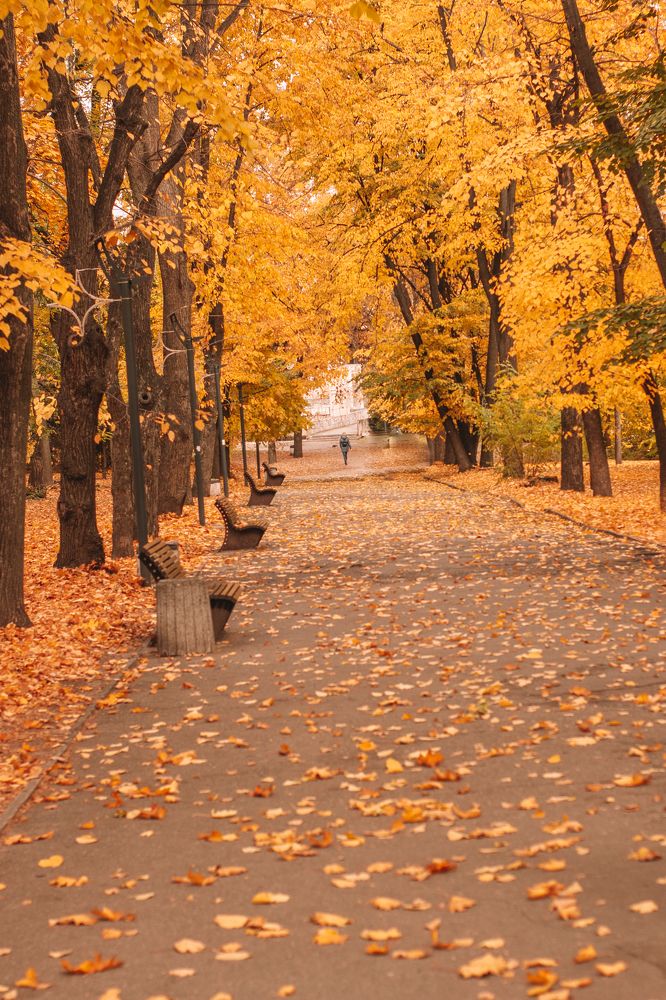 Photograph by Таисия Стафеева